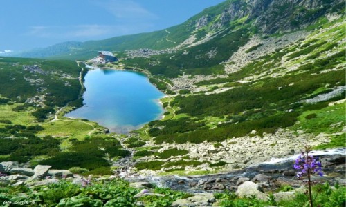 Zdjcie SOWACJA / Wysokie Tatry. / Dolina Wielicka. / Wielicki Staw i Dom lski.