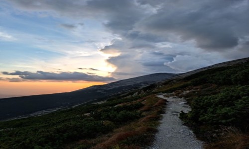 Zdjecie SOWACJA / Tatry / Tatry Wysokie  / Co si koczy 