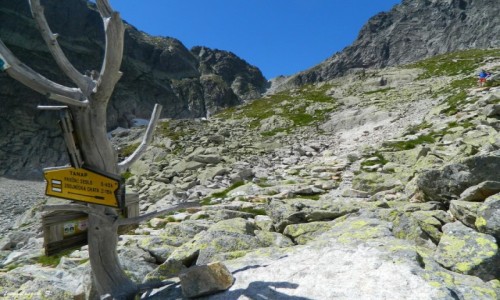 Zdjecie SOWACJA / Wysokie Tatry. / Szlak z Siodeka do 