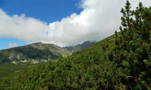 Zdjęcie SłOWACJA / Wysokie Tatry. / Szlak na Skrajne Solisko / Ze szlaku na Skrajne Solisko.