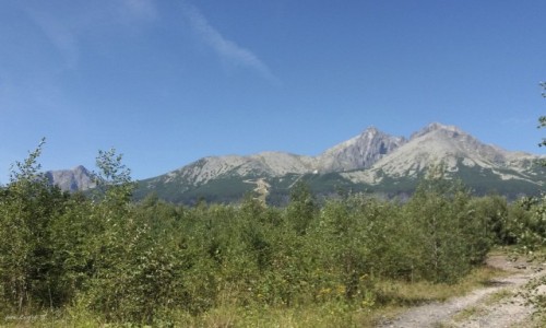 Zdjecie S�OWACJA / Wysokie Tatry, / Szlak Matliary - Salviovy Promie�. / Ze szlaku Matliary - Salviovy Promie�.