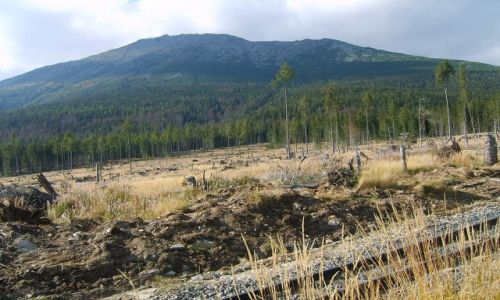 Zdjęcie SłOWACJA / Tatry Słowackie / Hrebienok / Slavkovsky stit