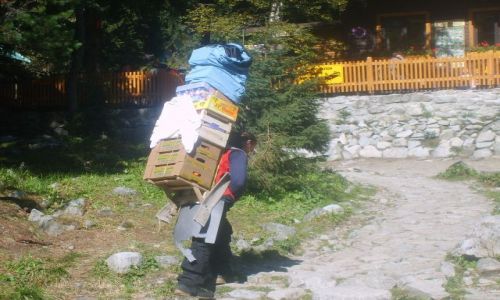 Zdjecie SłOWACJA / Tatry Słowackie / Tatry Słowackie / Nosicz:)