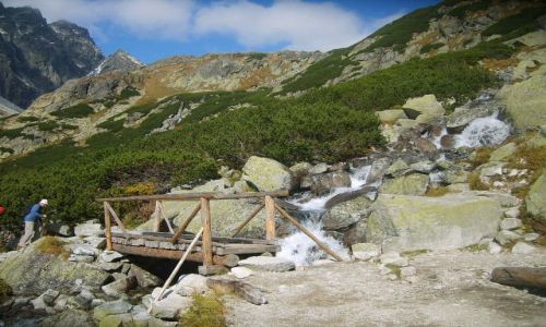 Zdjecie SłOWACJA / Tatry Słowackie / Tatry Słowackie / Mostek
