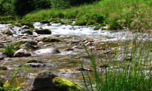 Zdjecie SOWACJA / brak / Tatry / potoczek :))