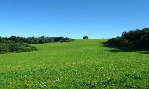 Zdjęcie SłOWACJA / pagórkowaty :) / Lubovnianska Vrchovina / Przekraczając