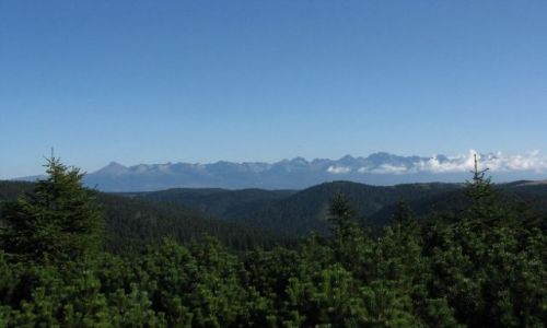 Zdjecie SOWACJA / brak / Tatry / widoczek z utulni Andrejcova