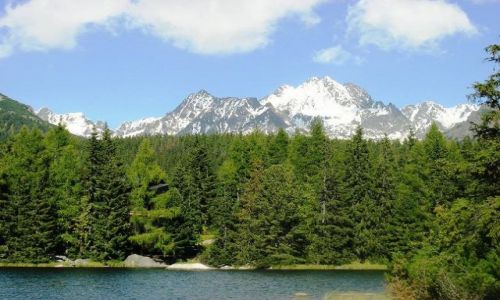 Zdjecie SOWACJA / brak / Szczyrbskie Pleso / xx