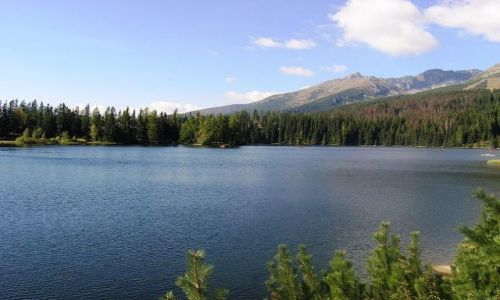 Zdjęcie SłOWACJA / brak / Szczyrbskie Pleso / xxx