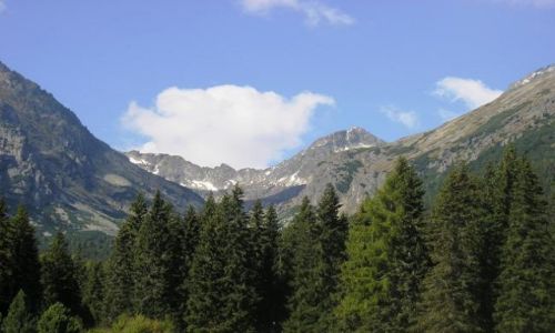 Zdjęcie SłOWACJA / brak / Szczyrbskie Pleso / xxxx