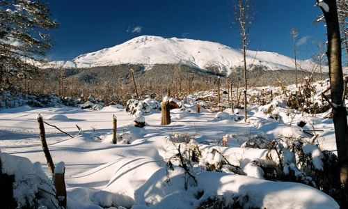 Zdjęcie SłOWACJA / Tatry Słowackie / Stary Smokowiec - Tatrzanska Polanka / ... Slavkowski II