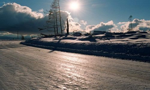 Zdjecie SOWACJA / Tatry Sowackie / Stary Smokowiec - Tatrzanska Polanka / .. kalamita