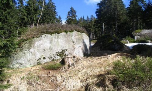 Zdjecie SOWACJA / brak / gry / gazy