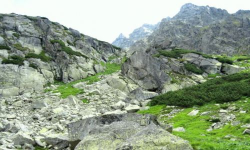 Zdjcie SOWACJA / TATRY / POPRADZKIE PLESO / ROLINNO WYSOKOGRSKA