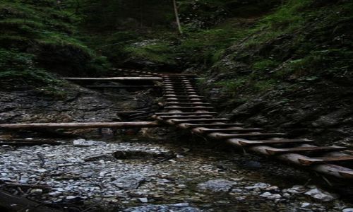 Zdjęcie SłOWACJA / Słowacki Raj /   szlak Velky Sokol / na szlaku..... cd.