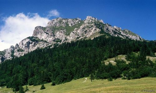 Zdj�cie S�OWACJA / Ma�a Fatra / Terchova / Rozsutec....