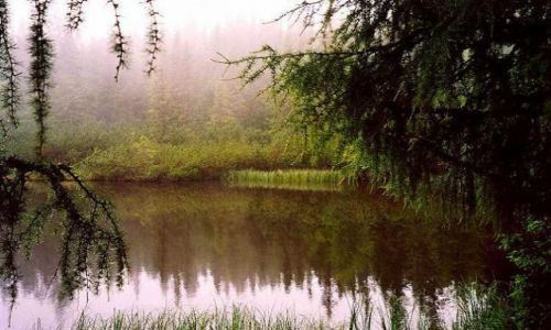 Zdjecie SOWACJA / Tatry Wysokie / w drodze na Krywa / Jamski Staw