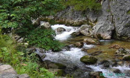 Zdjecie SOWACJA / terchova / terchova / terchova