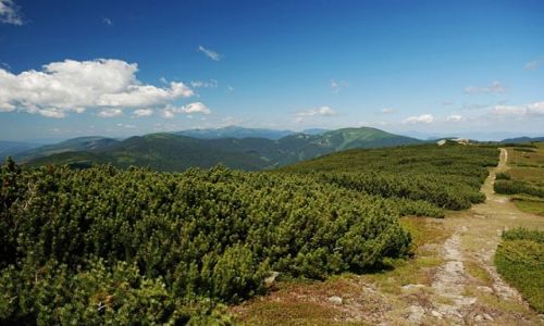 Zdjecie SOWACJA / Tatry Nine / brak / na szlaku..... 