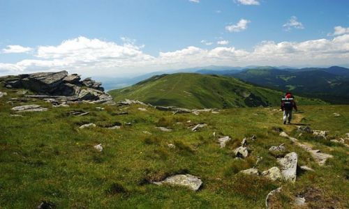 Zdjecie SOWACJA / Tatry Nine / brak / na szlaku..... 