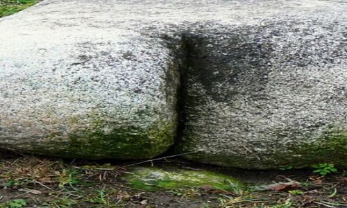 Zdjecie SłOWACJA / Spisz / brak / czy myślicie o tym samym ...?