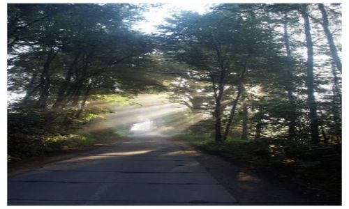 Zdjęcie SłOWACJA / rejon Popradu / brak / Promyk nadzieii