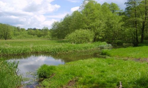 Zdjecie SłOWACJA / Żilina / okolica / wiosna 2009