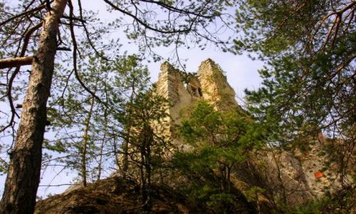 Zdjecie SOWACJA / Okres ylina / Zamek Hriczowski / Hrzicowski Hrad - wariacje I