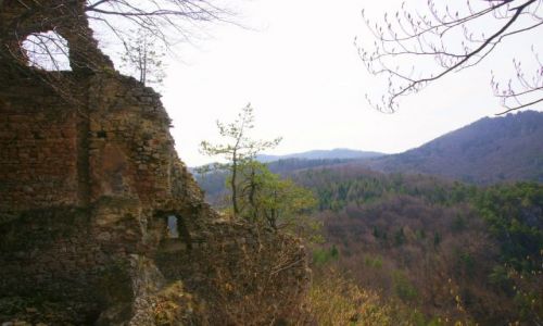 Zdjecie SOWACJA / Okres ylina / Zamek Hriczowski / Hrzicowski Hrad - wariacje IX