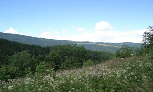 Zdjęcie SłOWACJA / Banska Bystrica / Nizkie Tatry / Słowackie krajobrazy