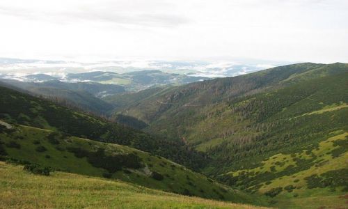 Zdjecie SOWACJA / Sowacja / Tatry Nine / Tatry Nine