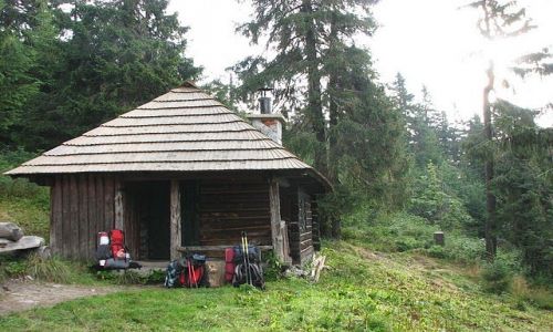Zdjecie SOWACJA / Sowacja / Tatry Nine / Tatry Nine