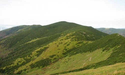 Zdjecie SOWACJA / Sowacja / Tatry Nine / Tatry Nine