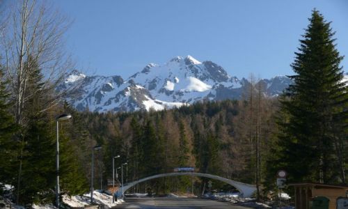 Zdjecie SOWACJA / Tatry / Szczyrbskie Jezioro / Tatry sowackie