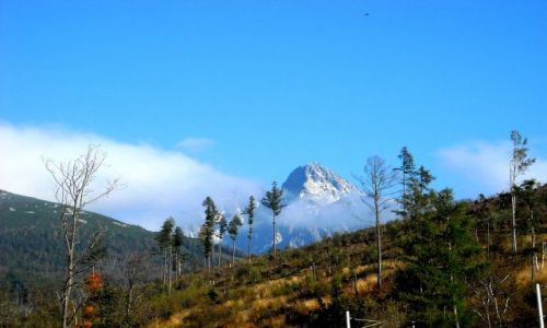 Zdjecie SOWACJA / Tatry / Tatry Wysokie/ Smokowiec / omnica