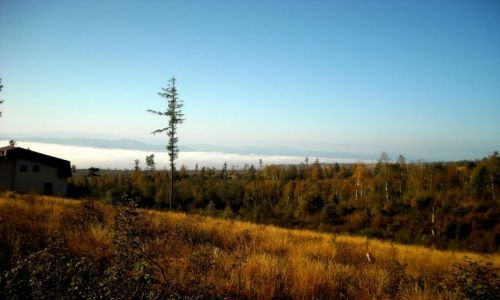 Zdjęcie SłOWACJA / Tatry / Smokowiec / Jesień w Tatrach