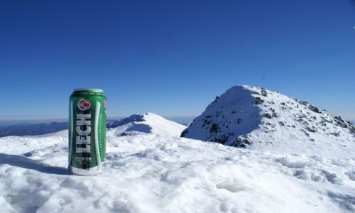 Zdjecie SOWACJA / Niskie Tatry / Chopok / Lech