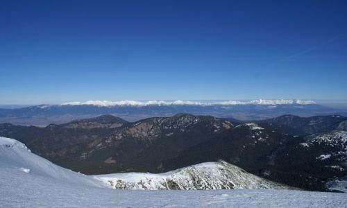 Zdjecie SOWACJA / Niskie Tatry / Chopok / Chopok