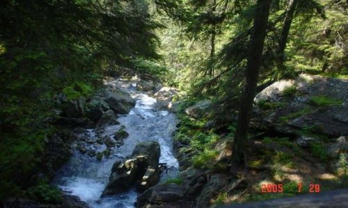 Zdjecie SłOWACJA / brak / Tatry / slowacja