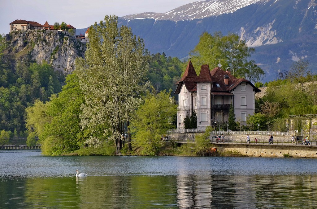 Zdjęcia: Bled, Carniola, Skała nad jeziorem Bled, SłOWENIA Zdjęcia: Bled, Carniola, Skała nad jeziorem Bled, SłOWENIA