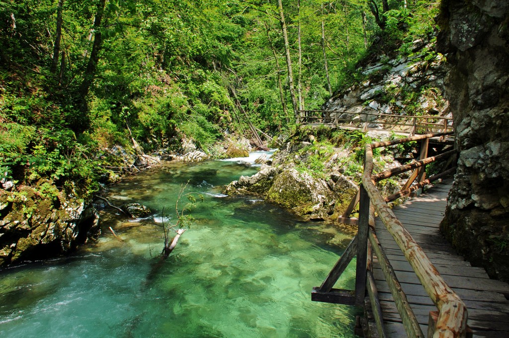 Zdjęcia: Wąwóz Vintgar, Triglavski Park Narodowy w Alpach Julijskich, Wąwóz Vintgar, SłOWENIA Zdjęcia: Wąwóz Vintgar, Triglavski Park Narodowy w Alpach Julijskich, Wąwóz Vintgar, SłOWENIA