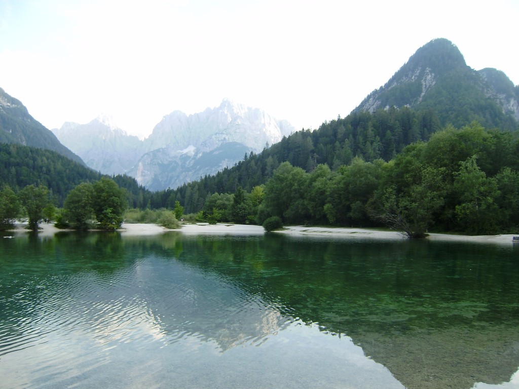 Zdjęcia: Kranjska Gora, Upper Carniola, MikroMakro, SłOWENIA Zdjęcia: Kranjska Gora, Upper Carniola, MikroMakro, SłOWENIA