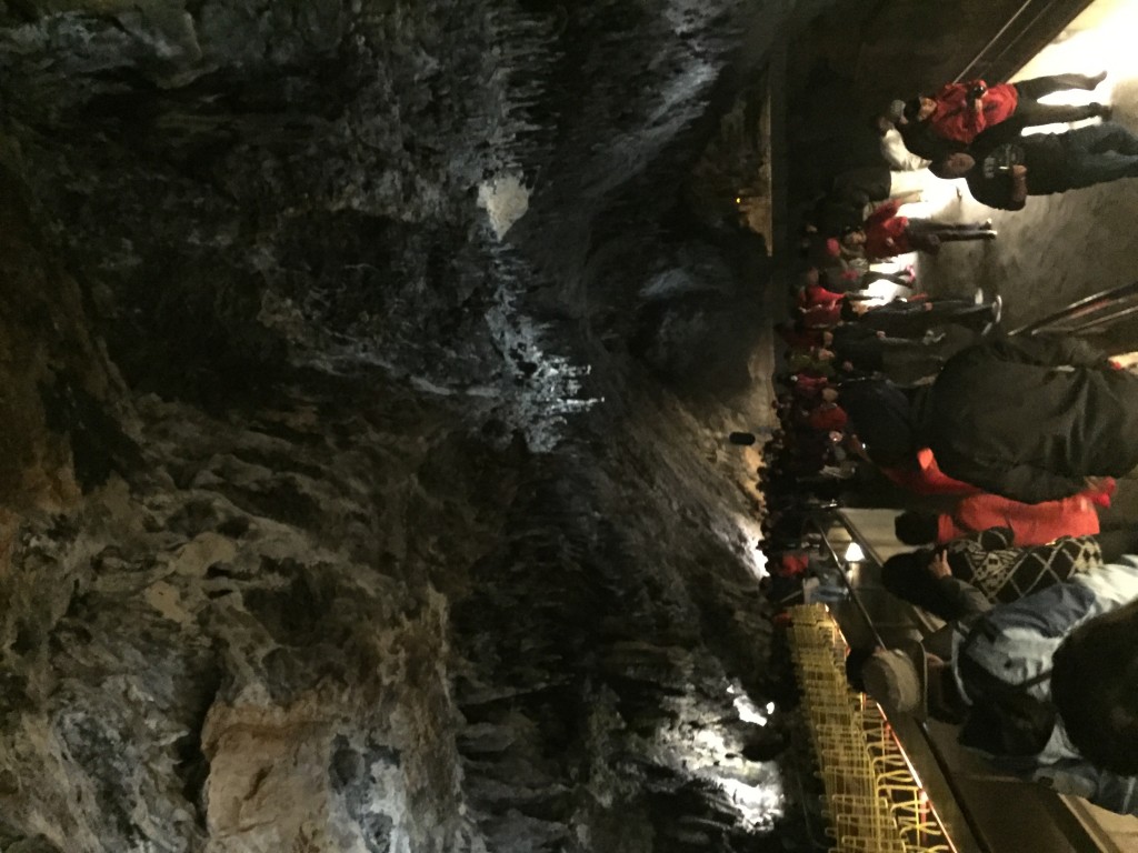 Zdjęcia: Postojna , Postojna Jaskinie, SłOWENIA Zdjęcia: Postojna , Postojna Jaskinie, SłOWENIA