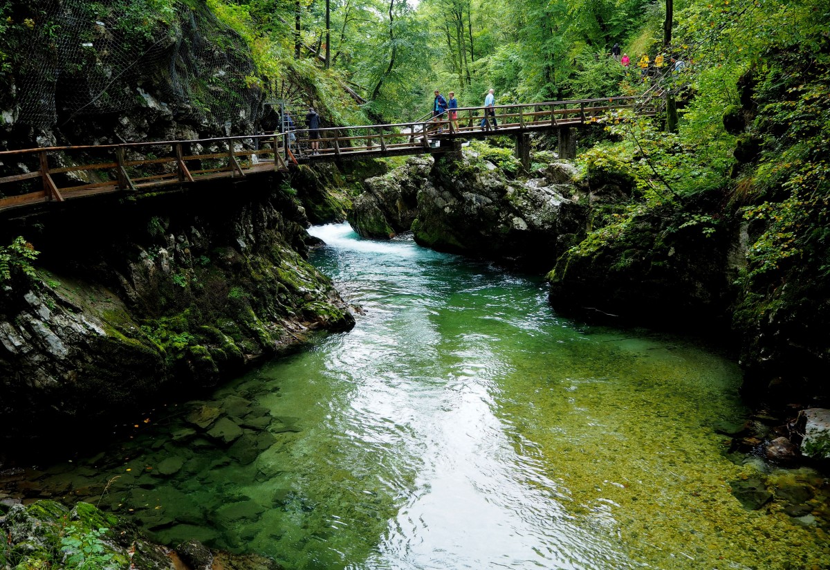 Zdjęcia: Triglavski Park Narodowy, Alpy Julijskie, w wąwozie Vintgar..., SłOWENIA Zdjęcia: Triglavski Park Narodowy, Alpy Julijskie, w wąwozie Vintgar..., SłOWENIA