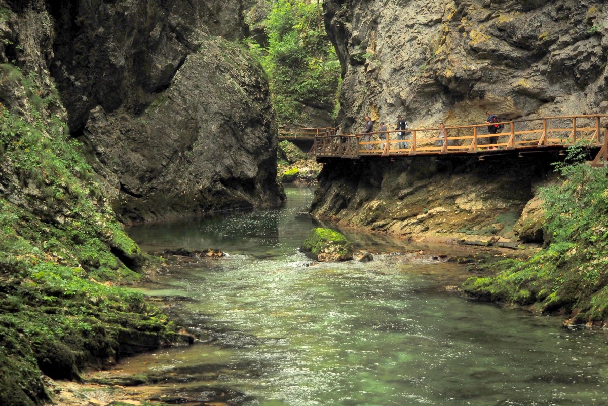 Zdjęcia: Triglavski Park Narodowy-wąwóz Vintgar, Alpy Julijskie, w przesmyku..., SłOWENIA Zdjęcia: Triglavski Park Narodowy-wąwóz Vintgar, Alpy Julijskie, w przesmyku..., SłOWENIA