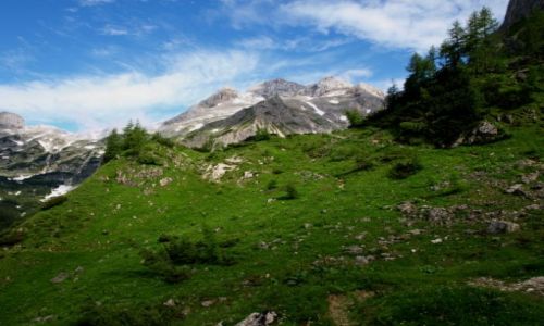 Zdjcie SOWENIA / Alpy Julijskie / Triglav / Na pocztku szlaku.
