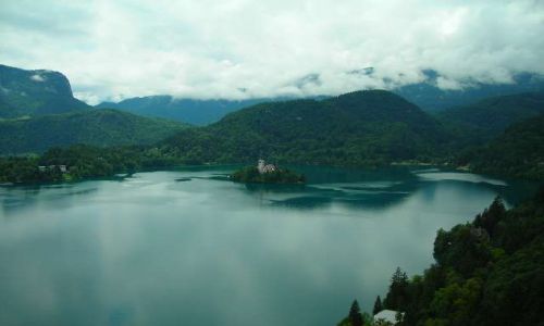 Zdjecie SłOWENIA / Alpy Julijskie / Bled / Widok z zamku na jezioro Bled