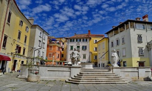 Zdjcie SOWENIA / Primorska / Piran / Piran, pera Soweni