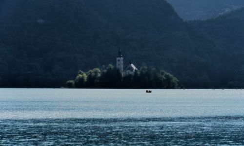 Zdjecie SOWENIA / Alpy Julijskie / Bled / Bled