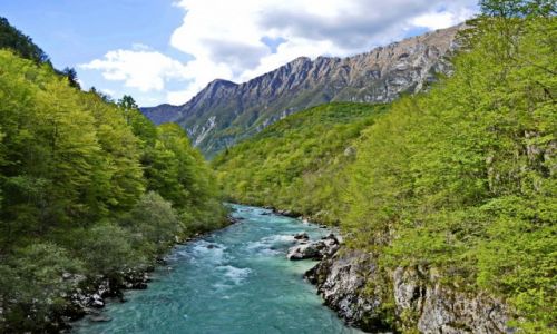 Zdjecie SOWENIA / Littoral / Tolmin / Rwca rzeka Soac